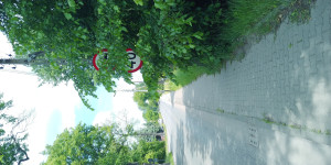 Zdjęcie 2 przedstawia problem zgłoszony w tym alercie