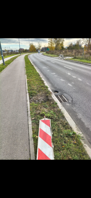 Zdjęcie 1 przedstawia problem zgłoszony w tym alercie