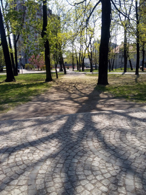 Zdjęcie 6 przedstawia problem zgłoszony w tym alercie
