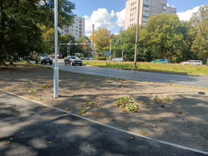 Zdjęcie 2 przedstawia problem zgłoszony w tym alercie