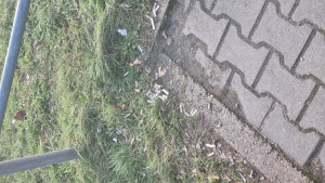 Zdjęcie 1 przedstawia problem zgłoszony w tym alercie