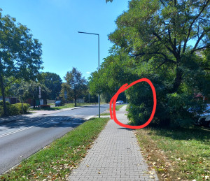 Zdjęcie 2 przedstawia problem zgłoszony w tym alercie
