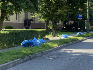 Zdjęcie 1 przedstawia problem zgłoszony w tym alercie