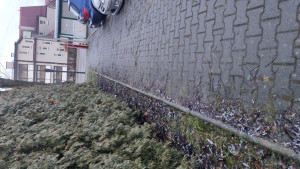 Zdjęcie 1 przedstawia problem zgłoszony w tym alercie
