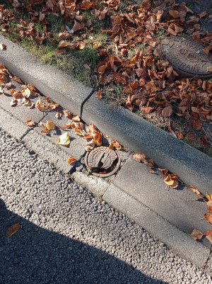 Zdjęcie 1 przedstawia problem zgłoszony w tym alercie