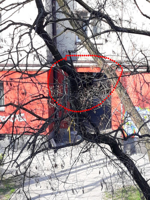 Zdjęcie 1 przedstawia problem zgłoszony w tym alercie