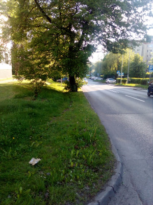 Zdjęcie 3 przedstawia problem zgłoszony w tym alercie