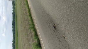 Zdjęcie 3 przedstawia problem zgłoszony w tym alercie