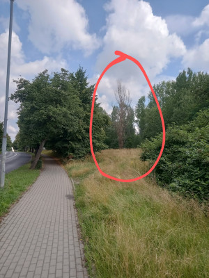 Zdjęcie 4 przedstawia problem zgłoszony w tym alercie
