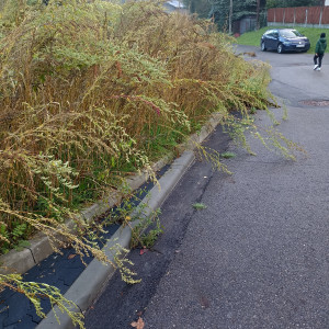 Zdjęcie 1 przedstawia problem zgłoszony w tym alercie