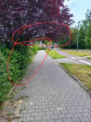 Zdjęcie 2 przedstawia problem zgłoszony w tym alercie