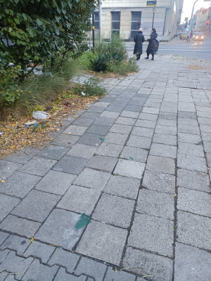 Zdjęcie 1 przedstawia problem zgłoszony w tym alercie