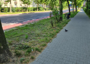 Zdjęcie 4 przedstawia problem zgłoszony w tym alercie