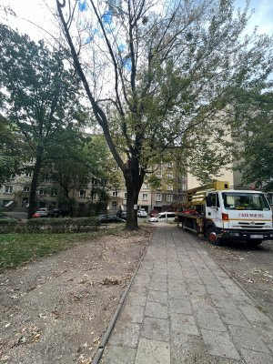 Zdjęcie 5 przedstawia problem zgłoszony w tym alercie