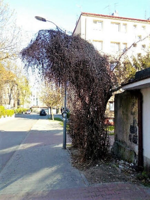 Zdjęcie 2 przedstawia problem zgłoszony w tym alercie