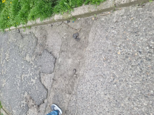 Zdjęcie 4 przedstawia problem zgłoszony w tym alercie