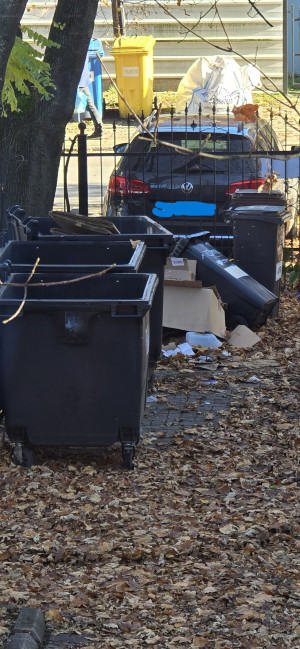 Zdjęcie 1 przedstawia problem zgłoszony w tym alercie