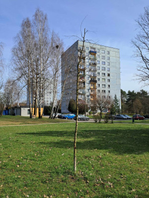 Zdjęcie 1 przedstawia problem zgłoszony w tym alercie