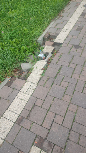 Zdjęcie 1 przedstawia problem zgłoszony w tym alercie