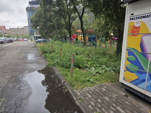 Zdjęcie 2 przedstawia problem zgłoszony w tym alercie