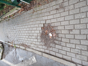 Zdjęcie 1 przedstawia problem zgłoszony w tym alercie