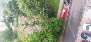 Zdjęcie 1 przedstawia problem zgłoszony w tym alercie