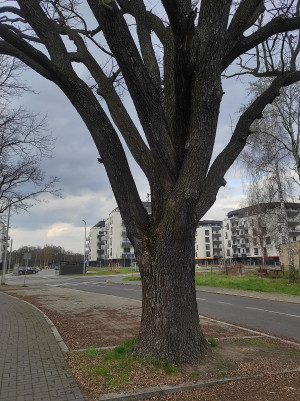 Zdjęcie 1 przedstawia problem zgłoszony w tym alercie