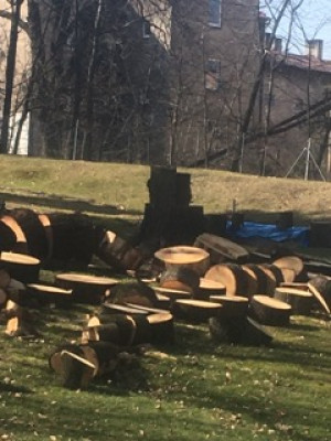Zdjęcie 6 przedstawia problem zgłoszony w tym alercie