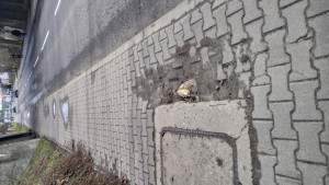 Zdjęcie 2 przedstawia problem zgłoszony w tym alercie