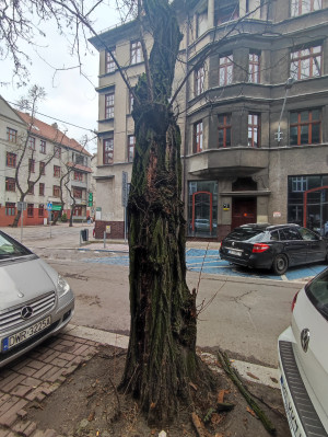 Zdjęcie 3 przedstawia problem zgłoszony w tym alercie