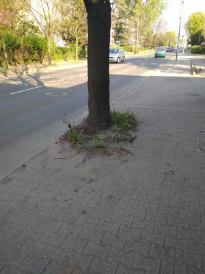 Zdjęcie 1 przedstawia problem zgłoszony w tym alercie