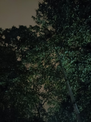 Zdjęcie 2 przedstawia problem zgłoszony w tym alercie