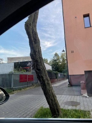 Zdjęcie 1 przedstawia problem zgłoszony w tym alercie