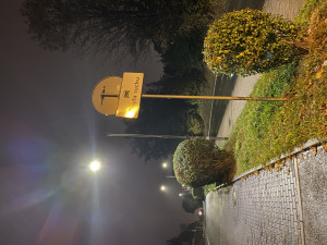 Zdjęcie 2 przedstawia problem zgłoszony w tym alercie