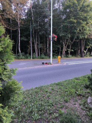 Zdjęcie 1 przedstawia problem zgłoszony w tym alercie