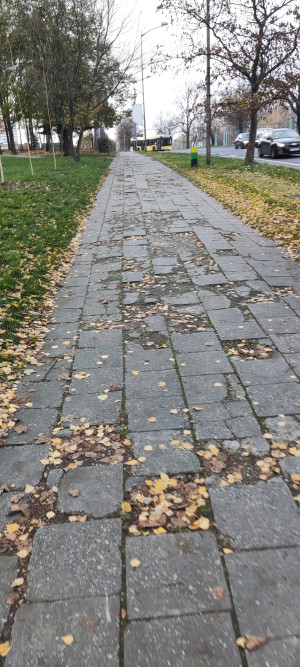 Zdjęcie 2 przedstawia problem zgłoszony w tym alercie