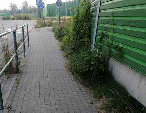 Zdjęcie 1 przedstawia problem zgłoszony w tym alercie