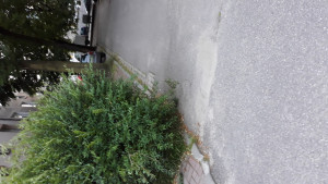 Zdjęcie 3 przedstawia problem zgłoszony w tym alercie