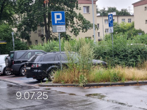 Zdjęcie 3 przedstawia problem zgłoszony w tym alercie