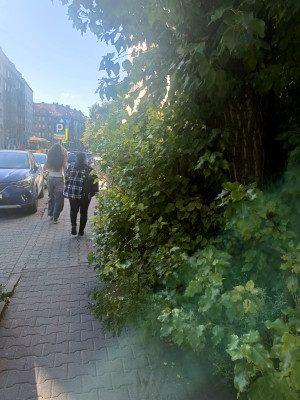 Zdjęcie 2 przedstawia problem zgłoszony w tym alercie