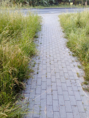 Zdjęcie 6 przedstawia problem zgłoszony w tym alercie
