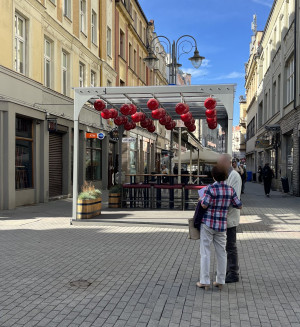 Zdjęcie 1 przedstawia problem zgłoszony w tym alercie