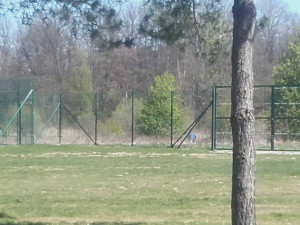 Zdjęcie 1 przedstawia problem zgłoszony w tym alercie