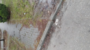 Zdjęcie 2 przedstawia problem zgłoszony w tym alercie