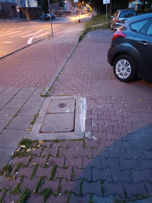 Zdjęcie 2 przedstawia problem zgłoszony w tym alercie