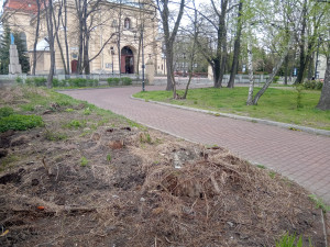 Zdjęcie 2 przedstawia problem zgłoszony w tym alercie