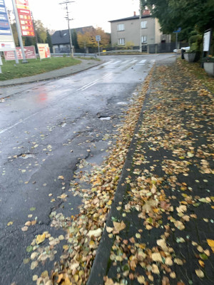 Zdjęcie 2 przedstawia problem zgłoszony w tym alercie