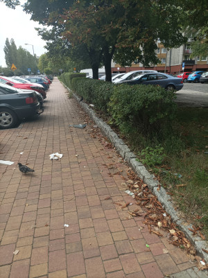 Zdjęcie 1 przedstawia problem zgłoszony w tym alercie