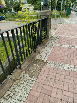 Zdjęcie 3 przedstawia problem zgłoszony w tym alercie