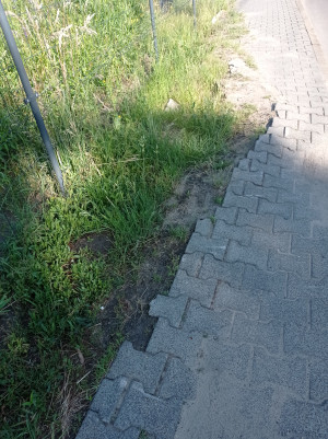 Zdjęcie 2 przedstawia problem zgłoszony w tym alercie